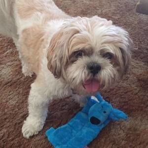 Meet your Posher, Debbie